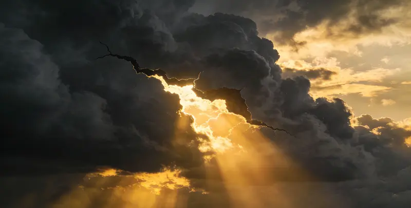 中卫肺癌13基因突变检测（组织）图片1