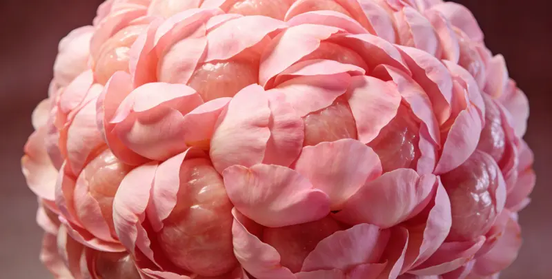 中卫BRCA1/2乳腺癌卵巢癌基因检测图片1